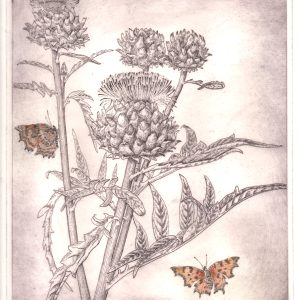 CARDOON