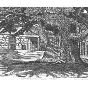 stratford park cedar