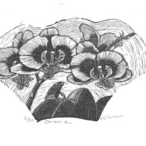 orchid